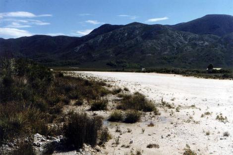 Melaleuca airstrip. There was a plane in there somewhere!