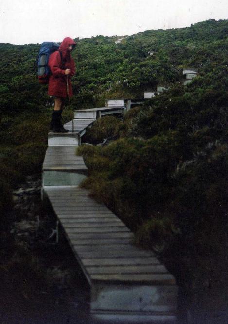 Boardwalks on the Ironbounds