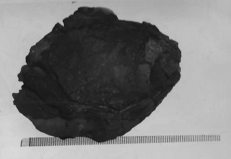 Cast iron lump from cave rear. 77 mm long