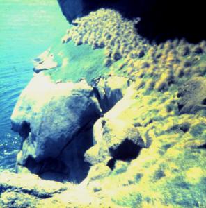 Dave about to step off on descent abseil.