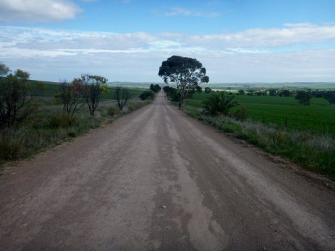 Alison on the road to Georgetown