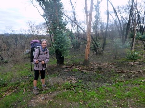 Fire damage along the trail