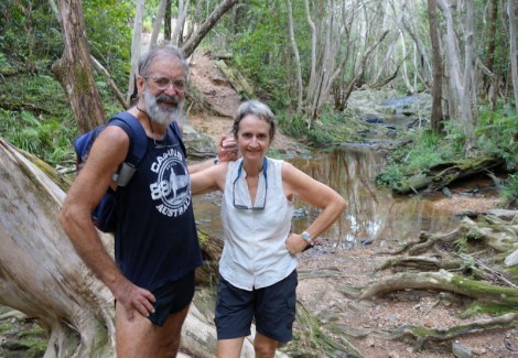 Tripper and Wizard at Robbins Ck