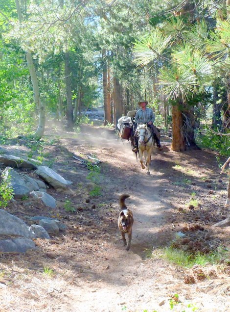 Pack team with guide