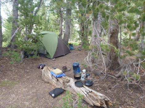 Sonora Pass camp at Sardine Creek