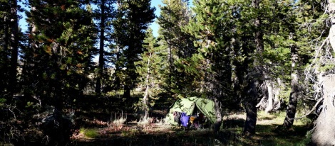 Stealth Camp near Frog Lake