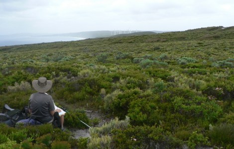 First view of the southern ocean - wind farm in distance