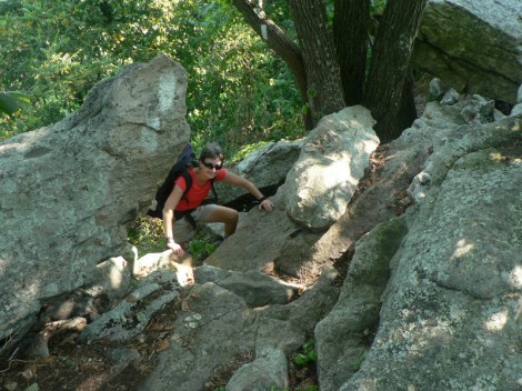 Some of the Pennsylvanian Rocks
